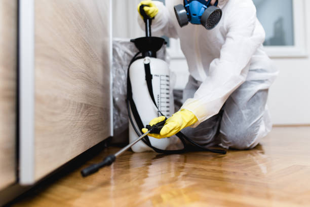 Best Affordable Pest Control Services  in Coleman, MI