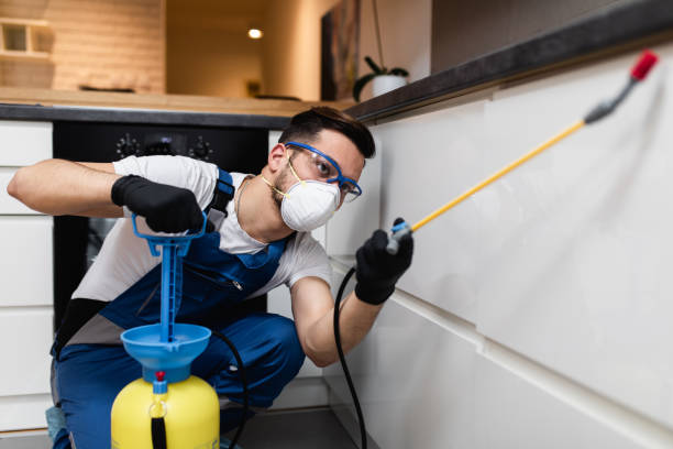 Best Rat Extermination Near Me  in Coleman, MI