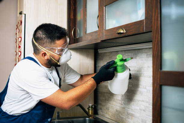 Best Emergency Pest Control  in Coleman, MI