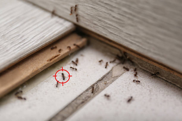 Coleman, MI Pest Control Company