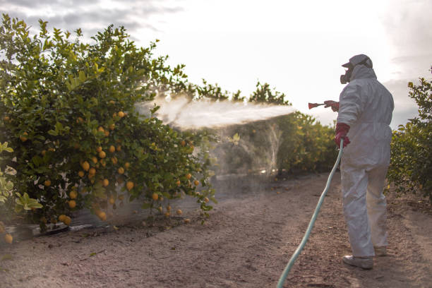 Best Residential Pest Control  in Coleman, MI