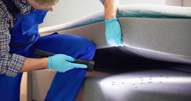 Trusted Coleman, MI Pest Control Experts