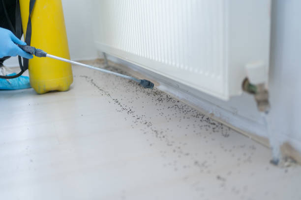 Best Pest Control for Businesses  in Coleman, MI