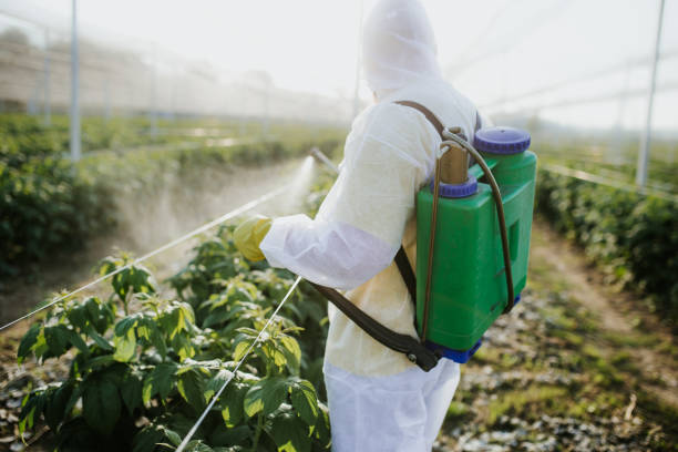 Wasp Removal Services in Coleman, MI
